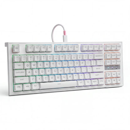 Langyan RGB Mechanical Gaming Keyboard TKL Wired USB-C RGB Backlit Keyboard