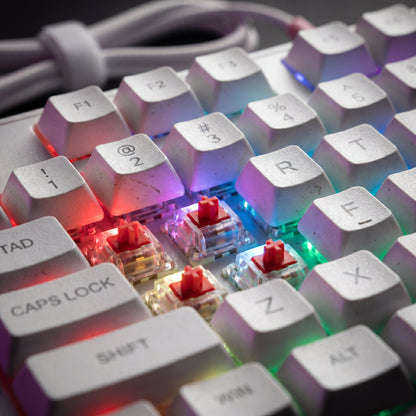 Langyan RGB Mechanical Gaming Keyboard TKL Wired USB-C RGB Backlit Keyboard
